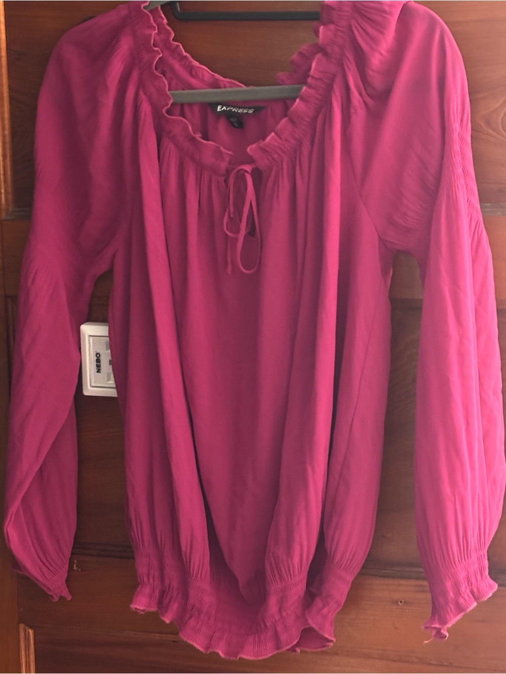 Express Women's Magenta Long-Sleeve Peasant Blouse